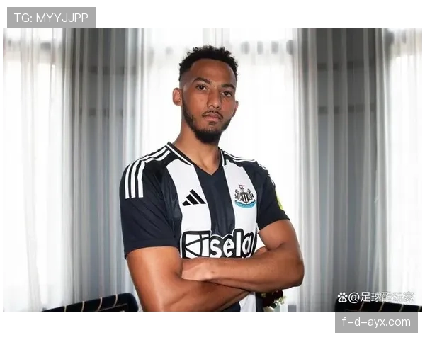 英超新赛季启幕，凯利深度解析各队表现与未来走势